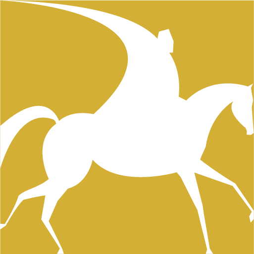 AMIR-SHAYESTEH-TABAR. LOG