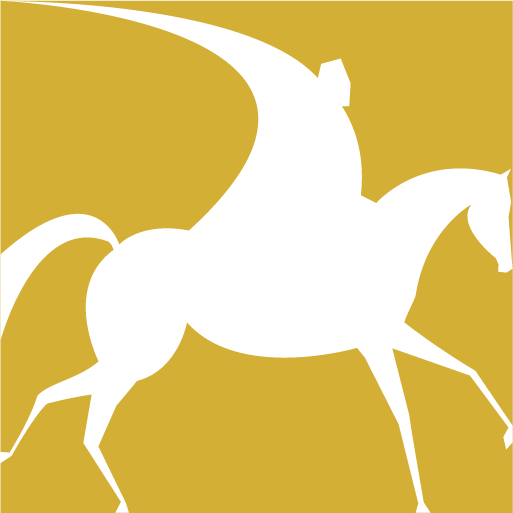 Site icon used as browser favicon representing Amir Shayesteh Tabar website identity